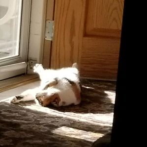 Meet your Posher, Chris